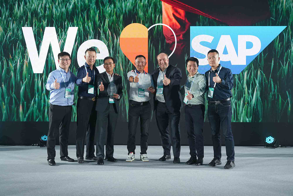國內(nèi)比較好的SAP合作廠家